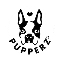 pupperzau boston terrier pupperz bostie pupperzau Sticker
