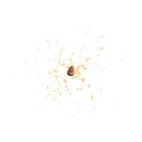 Ikkyu Sticker by Instagram Tag In Virtual GIF Booth