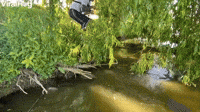 Large Fish Pulls Man into the Water