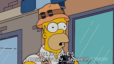 Episode 16 GIF by The Simpsons
