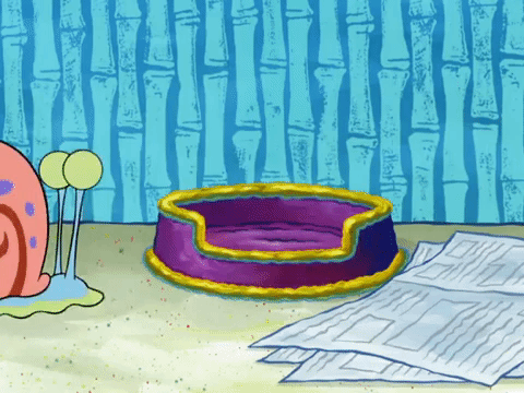 season 8 episode 22 GIF by SpongeBob SquarePants