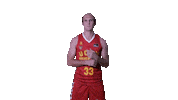 Liga Endesa Basketball Sticker by ACB