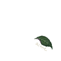 thewokestudio alone growth solo pun Sticker