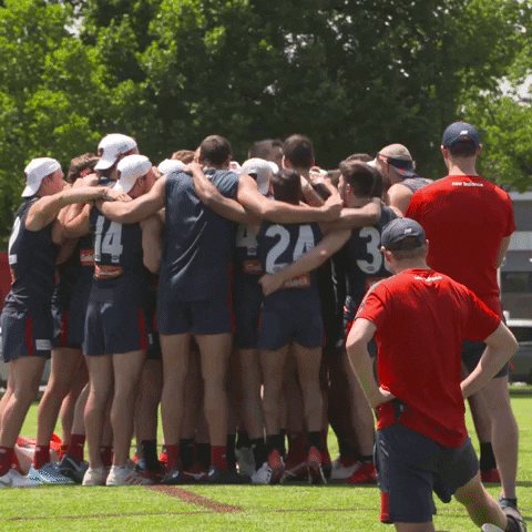 excited melbourne football club GIF by Melbournefc