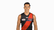 essendonfc bombers dons essendon essendon fc GIF