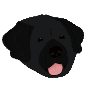Dog Labrador Sticker