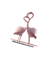 parcodeltapo nature bird bike duck Sticker