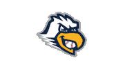 Baseball Sticker by York Revolution
