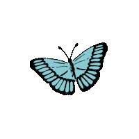 lunadannemannn butterflies mariposas lunadannemann luna dannemann Sticker