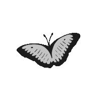 lunadannemannn butterflies mariposas lunadannemann luna dannemann Sticker