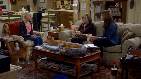 season 1 cotton candy and blended fish GIF by mom