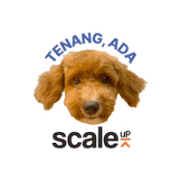 scaleupindonesia creator agencylife digitalmarketing digitalmarketingagency Sticker