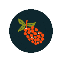 articulacaosemiarido semiarido asabrasil semiárido enconasa Sticker