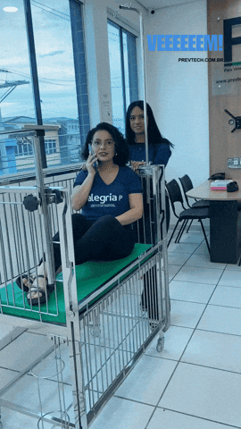 Prevtech bianca atendimento prevtech geovana GIF