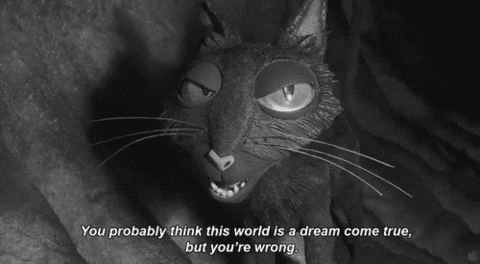 black and white cat GIF