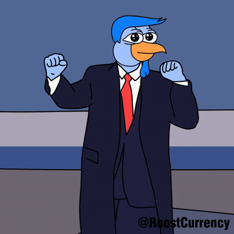 Roostcurrency GIF by $ROOST