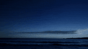 short film animation GIF by Partizan