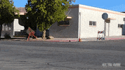 chevy truck GIF by Off The Jacks
