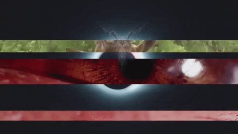 Art Video GIF by jorgemariozuleta