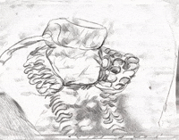 GIF by Alex Boya
