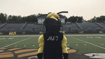 AICYellowJackets college sports mascots sunscreen rex GIF