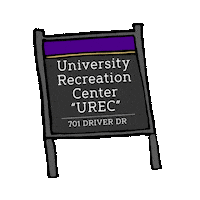 College Go Dukes Sticker by James Madison University
