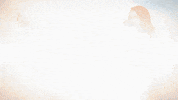 Kaitlyn Bristowe Love GIF by The Bachelorette