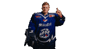 Pennydel Sticker by Straubing Tigers