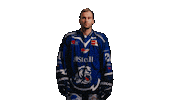 Pennydel Sticker by Straubing Tigers