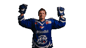 Braun Sticker by Straubing Tigers