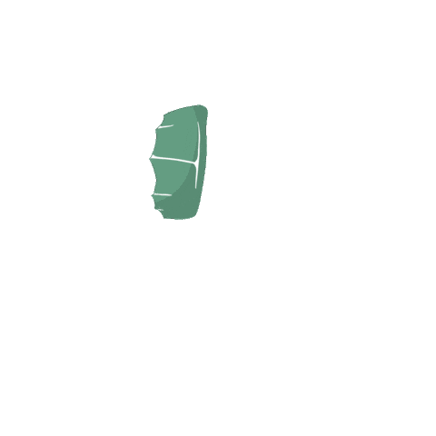 Kite Kitesurfing Sticker