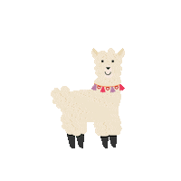 Llama Wg Sticker by Wholesome Goods