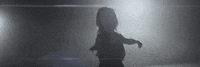 roses GIF by The Chainsmokers