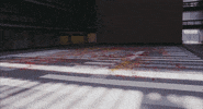 petals GIF by NOWNESS