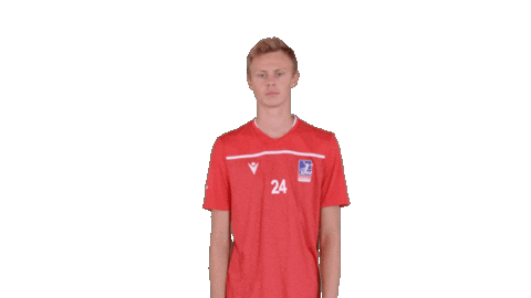 SMVHB giphyupload handball hugo vernon Sticker