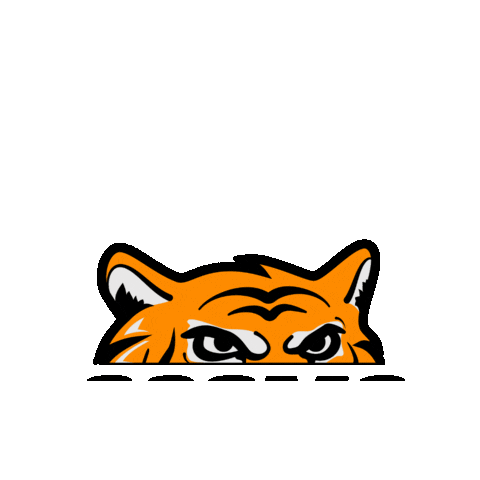 Negro Sticker by Cosmo Tires