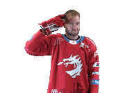 Hockey Trinec Sticker by HC Oceláři Třinec