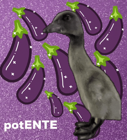 Duck Aubergine GIF