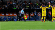 celebration goal GIF by Club América