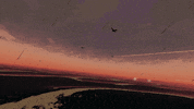 MicroProse sunset flight formation rts GIF