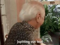 the mystery files of shelby woo nicksplat GIF