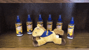hair product GIF by Mane 'n Tail