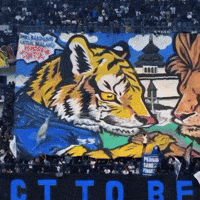 Persib Bandung Wow GIF