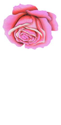 Loop Flower Sticker by Manon Louart
