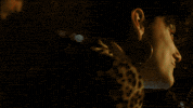 GIF by Jealous of the Birds