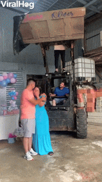 Adorable Reaction to New Little Girl in Gender Rev