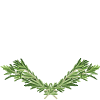 Herb Sticker by Zaungaeste