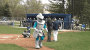 collegeoflakecounty dance dancing baseball school GIF