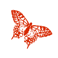 leo33music bird butterfly craft ashland Sticker