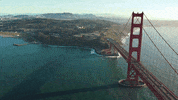 San Francisco City GIF by Yevbel